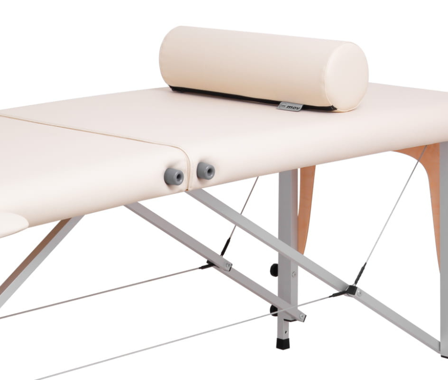 Table de massage pliante Pro Master alu